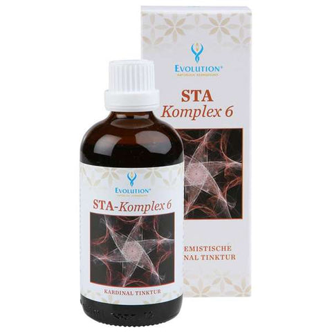 Evolution STA - Komplex 6