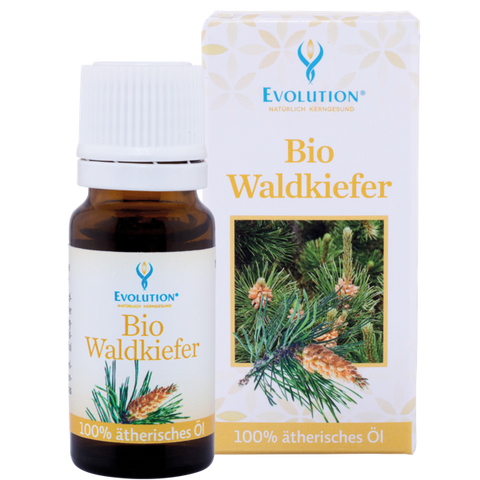 Evolution BIO Waldkieferöl
