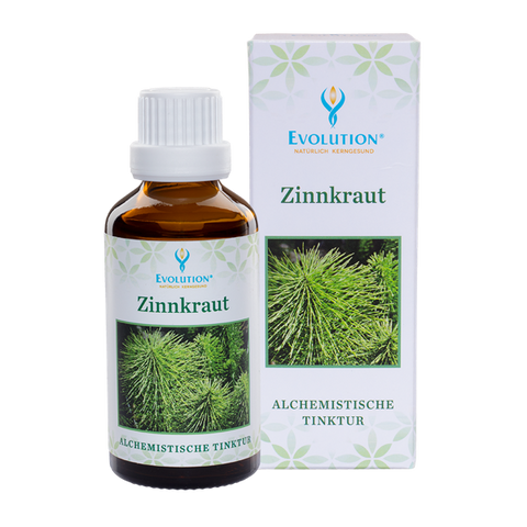Evolution Zinnkraut